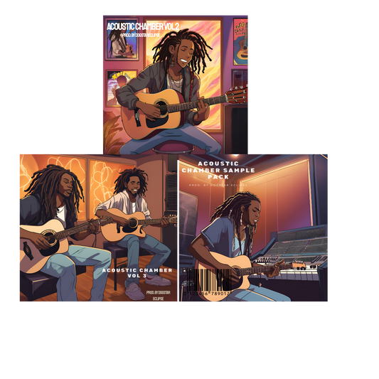 ACOUSTIC CHAMBER GUITAR BUNDLE